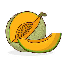 Karbuja(Musk Melon)